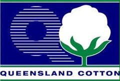 Logo for Qld Cotton.jpg